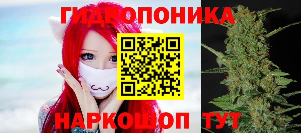 Бошки марихуана Bruce Banner Кинешма